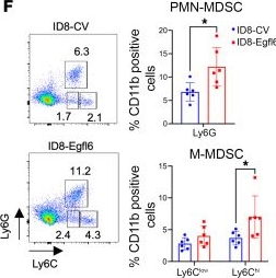 Fig.2.F showing Flow cytometry/Cell sorting in a Mus musculus (House mouse) sample from the publication: Egfl6 promotes ovarian cancer progression by enhancing the immunosuppressive functions of tumor-associated myeloid cells.