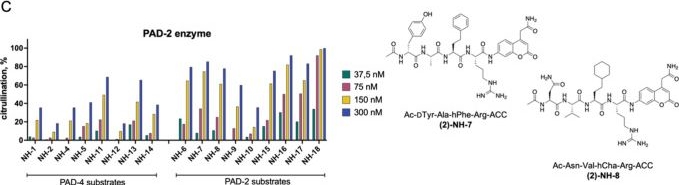 Fig.5.C from the publication: Isoform-Selective PAD2/PAD4 Substrates with Unnatural Amino Acids Enable Cellular Peptidylarginine Deiminase Activity Profiling and Reveal Vimentin Citrullination Effects in Macrophages.