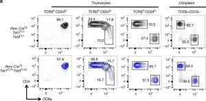 Fig.6.A showing Flow cytometry/Cell sorting from the publication: Stage-specific epigenetic regulation of CD4 expression by coordinated enhancer elements during T cell development.