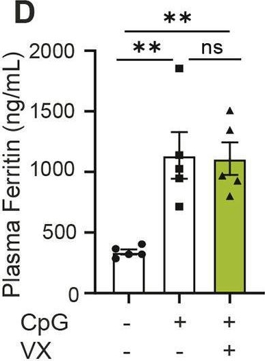 Fig.3.D showing Enzyme-linked immunosorbent assay from the publication: The NLRP3 inflammasome is essential for IL-18 production in a murine model of macrophage activation syndrome.