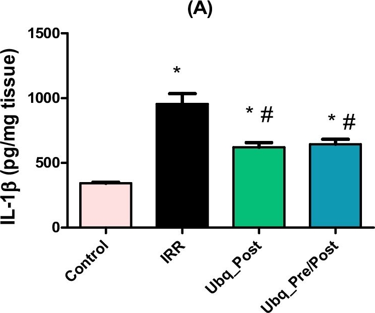 Fig.3.A showing Enzyme-linked immunosorbent assay in a Rattus norvegicus (Rat) sample from the publication: Gastroprotective and microbiome-modulating effects of ubiquinol in rats with radiation-induced enteropathy.
