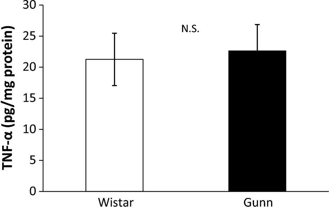 Fig.4.A showing Enzyme-linked immunosorbent assay in a Rattus norvegicus (Rat) sample from the publication: Gunn rats with glial activation in the hippocampus show prolonged immobility time in the forced swimming test and tail suspension test.