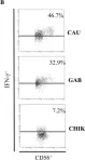 Fig.6.B showing Flow cytometry/Cell sorting from the publication: Unconventional repertoire profile is imprinted during acute chikungunya infection for natural killer cells polarization toward cytotoxicity.