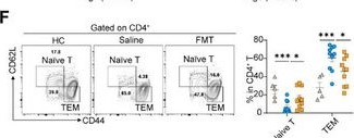 Fig.1.F showing Flow cytometry/Cell sorting in a Mus musculus (House mouse) sample from the publication: Microbiota-Derived Inosine Suppresses Systemic Autoimmunity via Restriction of B Cell Differentiation and Migration.