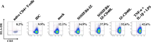 Fig.8.A showing Flow cytometry/Cell sorting from the publication: A stabilized HIV-1 envelope glycoprotein trimer fused to CD40 ligand targets and activates dendritic cells.