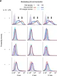 Fig.1.D showing Flow cytometry/Cell sorting from the publication: Macrophages employ quorum licensing to regulate collective activation.