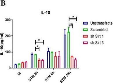 Fig.3.B showing Enzyme-linked immunosorbent assay from the publication: Salmonella-induced SIRT1 and SIRT3 are crucial for maintaining the metabolic switch in bacteria and host for successful pathogenesis.
