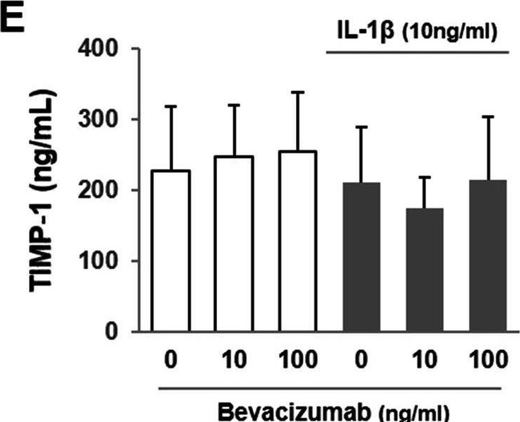 Fig.1.E showing Enzyme-linked immunosorbent assay from the publication: Bevacizumab suppressed degenerative changes in articular cartilage explants from patients with osteoarthritis of the knee.
