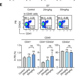 Fig.4.E showing Flow cytometry/Cell sorting in a Mus musculus (House mouse) sample from the publication: MCL-1 Inhibitor S63845 Distinctively Affects Intramedullary and Extramedullary Hematopoiesis.