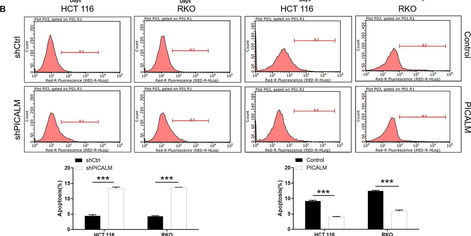 Fig.2.B showing Flow cytometry/Cell sorting in a Homo sapiens (Human) sample from the publication: PICALM exerts a role in promoting CRC progression through ERK/MAPK signaling pathway.