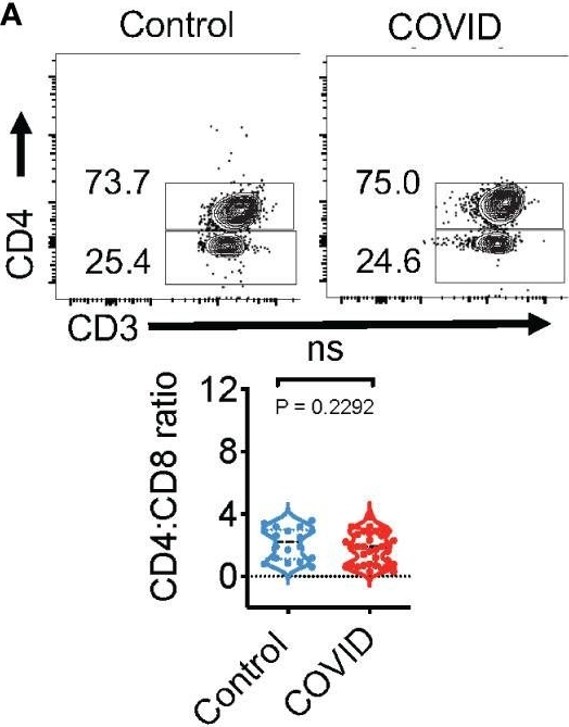 Fig.1.A showing Flow cytometry/Cell sorting in a Homo sapiens (Human) sample from the publication: Distinct SARS-CoV-2 specific NLRP3 and IL-1β responses in T cells of aging patients during acute COVID-19 infection.