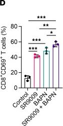 Fig.6.D from the publication: Dual targeting macrophages and microglia is a therapeutic vulnerability in models of PTEN-deficient glioblastoma.