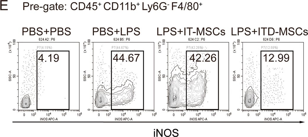 Fig.6.E showing Flow cytometry/Cell sorting in a Mus musculus (House mouse) sample from the publication: Glucocorticoid activates STAT3 and NF-κB synergistically with inflammatory cytokines to enhance the anti-inflammatory factor TSG6 expression in mesenchymal stem/stromal cells.