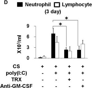 Fig.6.D showing In vivo experiments in a Mus musculus (House mouse) sample from the publication: Thioredoxin-1 protects against neutrophilic inflammation and emphysema progression in a mouse model of chronic obstructive pulmonary disease exacerbation.
