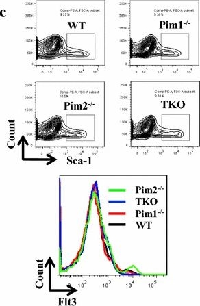 Fig.1.C showing Flow cytometry/Cell sorting in a Mus musculus (House mouse) sample from the publication: Pim1 kinase regulates c-Kit gene translation.