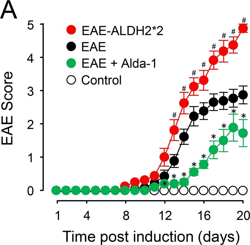 Fig.7.A from the publication: Neuroprotection by acrolein sequestration through exogenously applied scavengers and endogenous enzymatic enabling strategies in mouse EAE model.