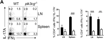 Fig.3.A showing Flow cytometry/Cell sorting in a Mus musculus (House mouse) sample from the publication: PI3Kγ drives priming and survival of autoreactive CD4(+) T cells during experimental autoimmune encephalomyelitis.