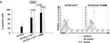 Fig.3.A showing Flow cytometry/Cell sorting from the publication: Full restoration of Brucella-infected dendritic cell functionality through Vγ9Vδ2 T helper type 1 crosstalk.
