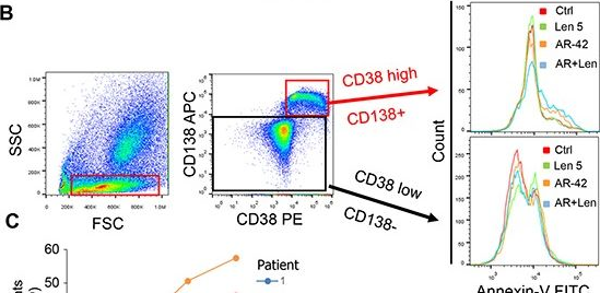 Fig.5.B showing Flow cytometry/Cell sorting from the publication: HDAC inhibitor AR-42 decreases CD44 expression and sensitizes myeloma cells to lenalidomide.