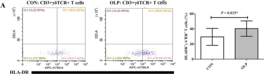 Fig.3.A showing Flow cytometry/Cell sorting from the publication: Aberrant Activation of the STING-TBK1 Pathway in γδ T Cells Regulates Immune Responses in Oral Lichen Planus.