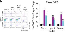 Fig.2.B showing Flow cytometry/Cell sorting in a Mus musculus (House mouse) sample from the publication: Foxp3+ Tregs are recruited to the retina to repair pathological angiogenesis.