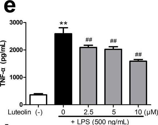 Fig.7.E showing Enzyme-linked immunosorbent assay from the publication: Exploring the mechanism of luteolin by regulating microglia polarization based on network pharmacology and in vitro experiments.
