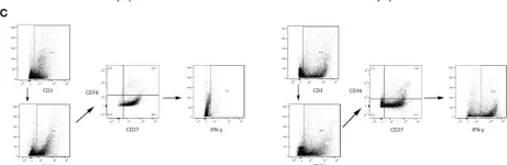 Fig.5.C showing Flow cytometry/Cell sorting from the publication: The impact on colostrum oxidative stress, cytokines, and immune cells composition after SARS-CoV-2 infection during pregnancy.