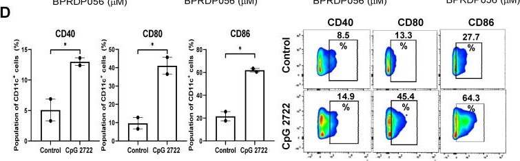 Fig.3.D showing Flow cytometry/Cell sorting in a Mus musculus (House mouse) sample from the publication: Induction of Immune Responses and Phosphatidylserine Exposure by TLR9 Activation Results in a Cooperative Antitumor Effect with a Phosphatidylserine-targeting Prodrug.