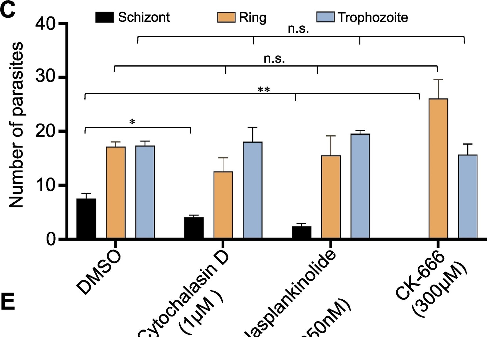 Fig.3.C from the publication: Plasmodium actin-like proteins are essential for DNA segregation during male gametogenesis and malaria transmission.
