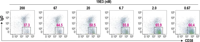 Fig.5.D showing Flow cytometry/Cell sorting in a Mus musculus (House mouse) sample from the publication: Discovery and characterization of potent IL-21 neutralizing antibodies via a novel alternating antigen immunization and humanization strategy.