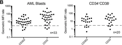 Fig.1.B showing Flow cytometry/Cell sorting from the publication: Examination of CD302 as a potential therapeutic target for acute myeloid leukemia.