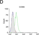 Fig.8.D showing Flow cytometry/Cell sorting in a Mus musculus (House mouse) sample from the publication: Outer membrane protein A (OmpA) of Shigella flexneri 2a induces TLR2-mediated activation of B cells: involvement of protein tyrosine kinase, ERK and NF-κB.
