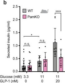 Fig.3.B from the publication: Type 2 diabetes risk alleles in peptidyl-glycine alpha-amidating monooxygenase influence GLP-1 levels and response to GLP-1 receptor agonists.