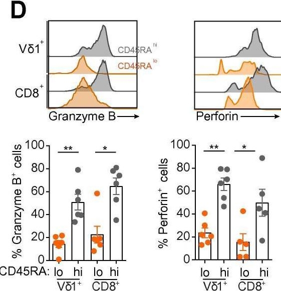 Fig.6.D showing Flow cytometry/Cell sorting from the publication: Human liver infiltrating γδ T cells are composed of clonally expanded circulating and tissue-resident populations.