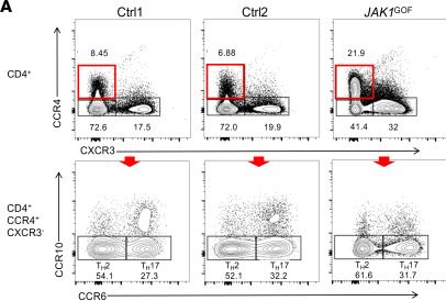 Fig.3.A showing Flow cytometry/Cell sorting in a Homo sapiens (Human) sample from the publication: Human JAK1 gain of function causes dysregulated myelopoeisis and severe allergic inflammation.
