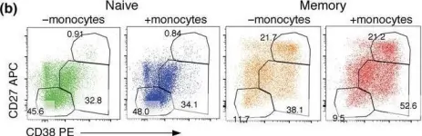 Fig.5.B showing Flow cytometry/Cell sorting from the publication: Distinguishing naive- from memory-derived human B cells during acute responses.