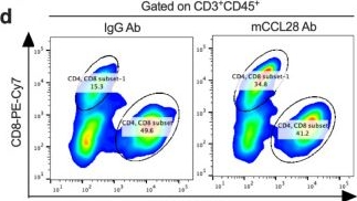 Fig.7.D showing Flow cytometry/Cell sorting in a Mus musculus (House mouse) sample from the publication: Bile salt hydrolase in non-enterotoxigenic Bacteroides potentiates colorectal cancer.