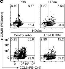 Fig.4.C showing Flow cytometry/Cell sorting from the publication: Neoantigen-specific cytotoxic Tr1 CD4 T cells suppress cancer immunotherapy.
