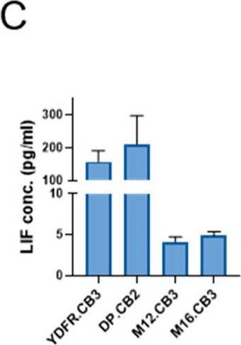 Fig.2.C showing Enzyme-linked immunosorbent assay from the publication: Heterogeneity in the Metastatic Microenvironment: JunB-Expressing Microglia Cells as Potential Drivers of Melanoma Brain Metastasis Progression.