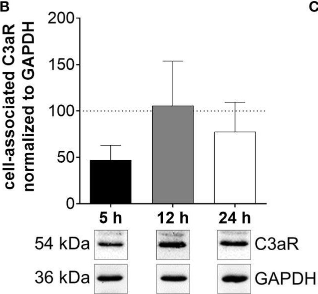 Complement Factor H-Related 3 Enhanced Inflammation and Complement Activation in Human RPE Cells.
