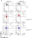 Fig.4.C showing Flow cytometry/Cell sorting from the publication: Stage-specific epigenetic regulation of CD4 expression by coordinated enhancer elements during T cell development.
