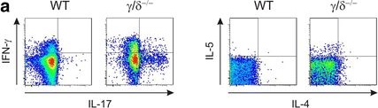 Fig.5.A showing Flow cytometry/Cell sorting in a Mus musculus (House mouse) sample from the publication: Deficiency of PI3-Kinase catalytic isoforms p110γ and p110δ in mice enhances the IL-17/G-CSF axis and induces neutrophilia.