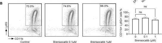 Fig.2.B showing Flow cytometry/Cell sorting from the publication: Impact of dipeptidyl peptidase I and neutrophil serine proteases on neutrophil functional responses.