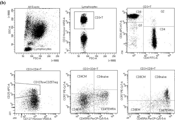 Fig.5.B showing Flow cytometry/Cell sorting from the publication: Impact of Induction Immunosuppressants on T Lymphocyte Subsets after Kidney Transplantation: A Prospective Observational Study with Focus on Anti-Thymocyte Globulin and Basiliximab Induction Therapies.
