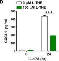 Fig.7.D showing Enzyme-linked immunosorbent assay from the publication: L-Theanine Alleviates IMQ-Induced Psoriasis Like Skin Inflammation by Downregulating the Production of IL-23 and Chemokines.