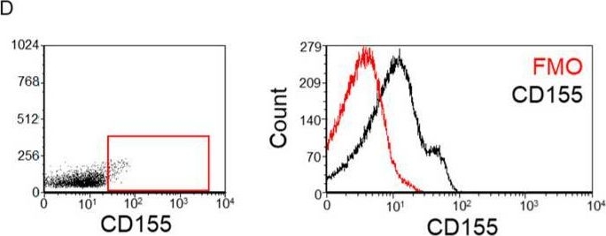 Fig.6.D showing Flow cytometry/Cell sorting from the publication: Differential Immune Checkpoint Expression in CD4+ and CD4- NKT Cell Populations During Healthy Pregnancy.