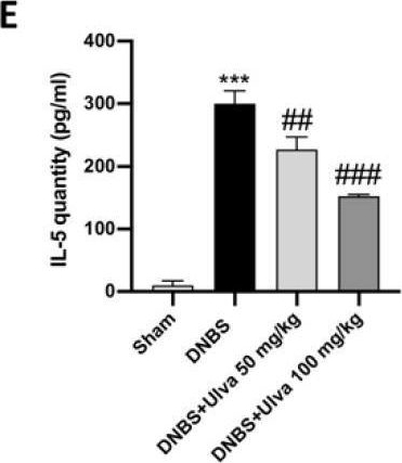 Fig.3.E showing Enzyme-linked immunosorbent assay from the publication: Ulva pertusa, a Marine Green Alga, Attenuates DNBS-Induced Colitis Damage via NF-κB/Nrf2/SIRT1 Signaling Pathways.