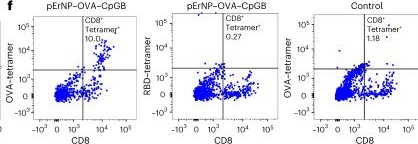 Fig.4.F showing Flow cytometry/Cell sorting in a Mus musculus (House mouse) sample from the publication: Shortwave-infrared-light-emitting probes for the in vivo tracking of cancer vaccines and the elicited immune responses.