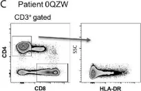Fig.3.C showing Flow cytometry/Cell sorting in a Homo sapiens (Human) sample from the publication: Unsupervised Analysis of Flow Cytometry Data in a Clinical Setting Captures Cell Diversity and Allows Population Discovery.
