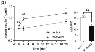Fig.2.P showing Enzyme-linked immunosorbent assay from the publication: Renal tubule-specific Atgl deletion links kidney lipid metabolism to glucagon-like peptide 1 and insulin secretion independent of renal inflammation or lipotoxicity.